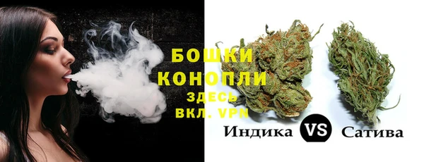 стафф Магадан